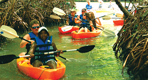 South Coast Horizons Kayak in the Mangroves